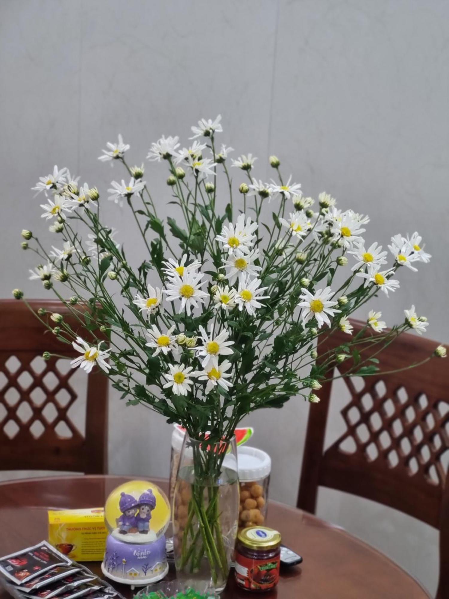 May'S Cottage Hanoi Exterior photo